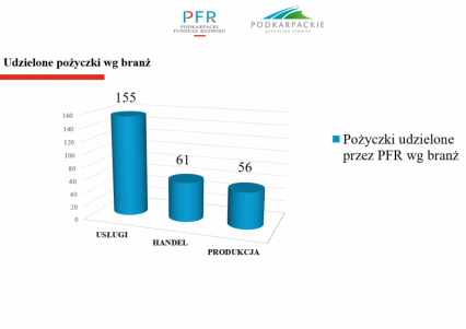 Pożyczki wg branż